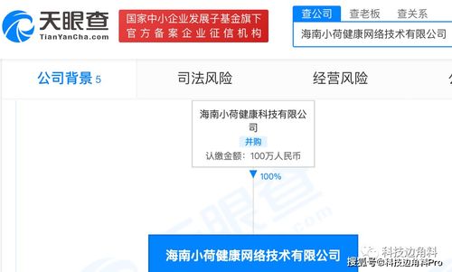 字節跳動拓展健康版圖 海南小荷健康網絡公司成立，新增食品與互聯網銷售業務